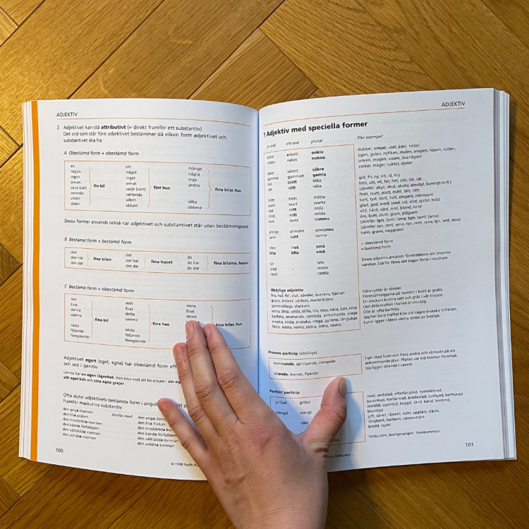 Form i fokus C, ćwiczenia ze szwedzkiej gramatyki, poziom zaawansowany