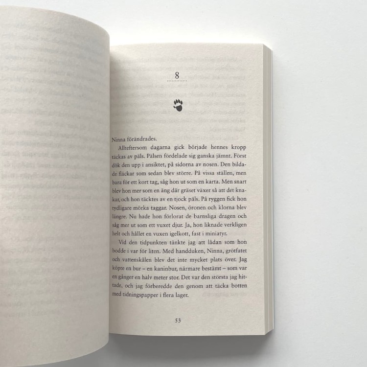 25 gram lycka: En sann berättelse om den lilla igelkotten som gav en man - M. Vacchetta, A. Tomaselli po szwedzku 6