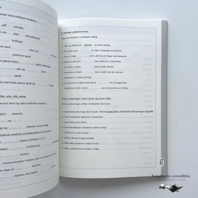 Intensivt dansk - Lise Bostrup do nauki duńskiego 6