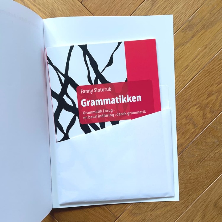 Grammatik i brug - en basal indføring i dansk grammatik nauka duńskiego 4