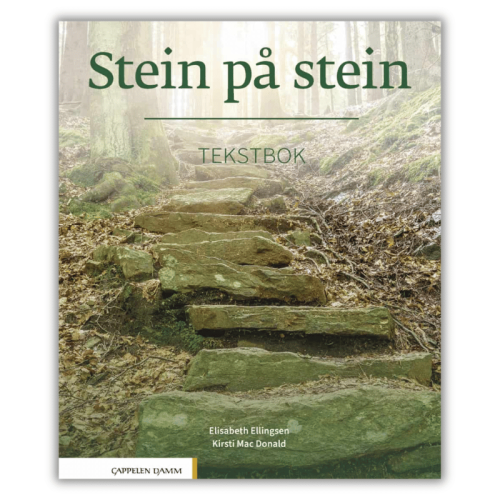 Stein på stein Tekstbok Podręcznik do nauki norweskiego na poziomie B1, norweski dla średnio zaawansowanych