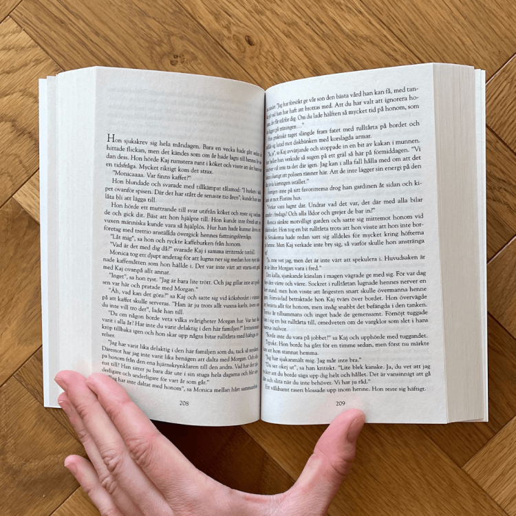 Stenhuggaren - Camilla Läckberg po szwedzku