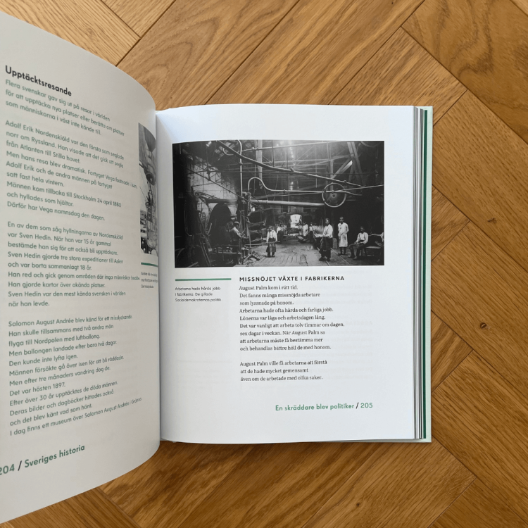 Sveriges historia: Från istid till EU (lättläst) - Bengt Fredrikson.png