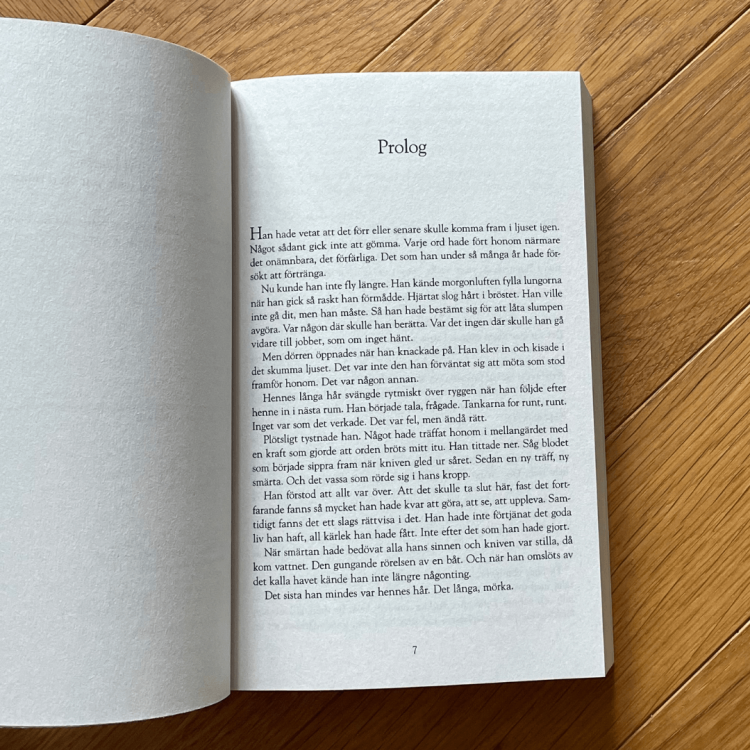 Sjöjungfrun - Camilla Läckberg po szwedzku