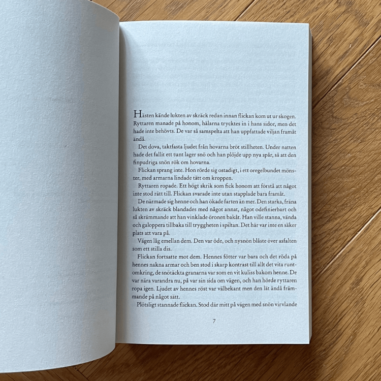 Lejontämjaren - Camilla Läckberg po szwedzku