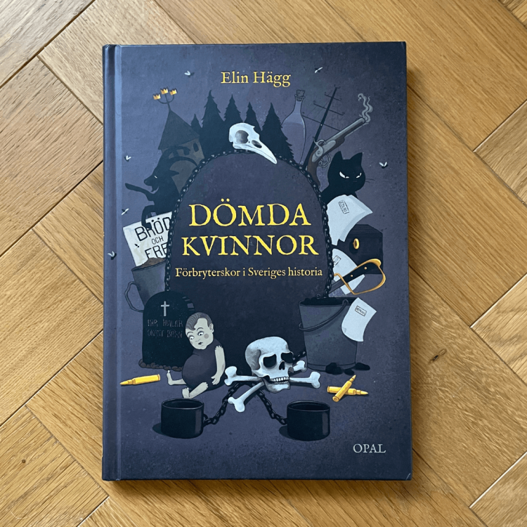 Dömda kvinnor: förbryterskor i Sveriges historia - Elin Hägg po szwedzku