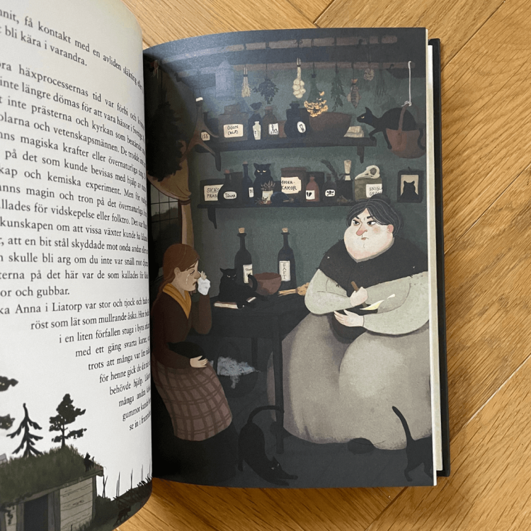 Dömda kvinnor: förbryterskor i Sveriges historia - Elin Hägg po szwedzku