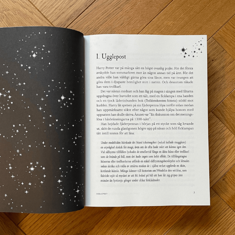 Harry Potter och Fången från Azkaban - Harry Potter i Więzień Azkabanu po szwedzku