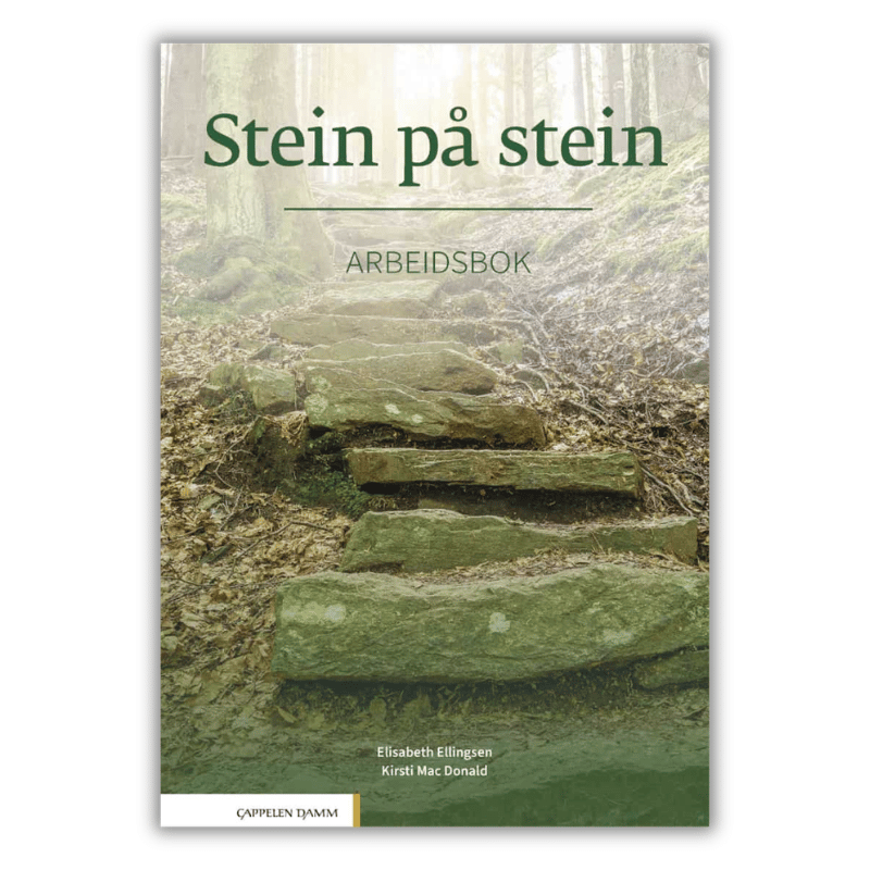 Stein på stein Arbeidsbok Ćwiczenia do nauki norweskiego na poziomie B1, dla średnio zaawansowanych